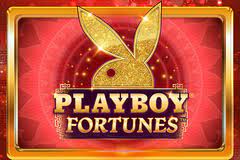 pragmatic-play-Playboy Fortunes